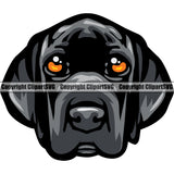 Great Dane Dog Color Face Design Animal Head Logo Vector Puppy Head Purebred Pup Pedigree Canine K-9 K9 Animal Portrait Doggy Clipart SVG