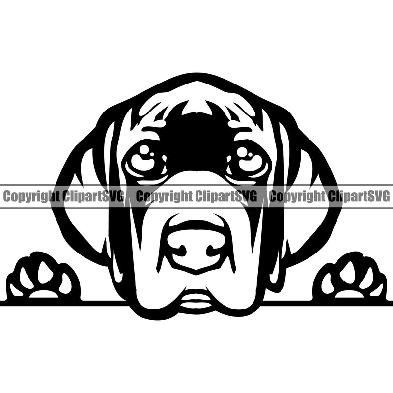Great Dane Dog Peeking Face Animal Head Design Great Portrait Doggy Face Cute Canine Purebred Pup Pedigree Clipart SVG