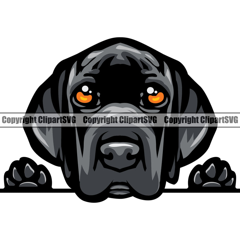 Great Dane Dog Peeking Face Puppy Black Color Head Animal Cute Face Design Purebred Pup Pedigree Canine Clipart SVG