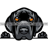 Great Dane Dog Peeking Face Puppy Black Color Head Animal Cute Face Design Purebred Pup Pedigree Canine Clipart SVG