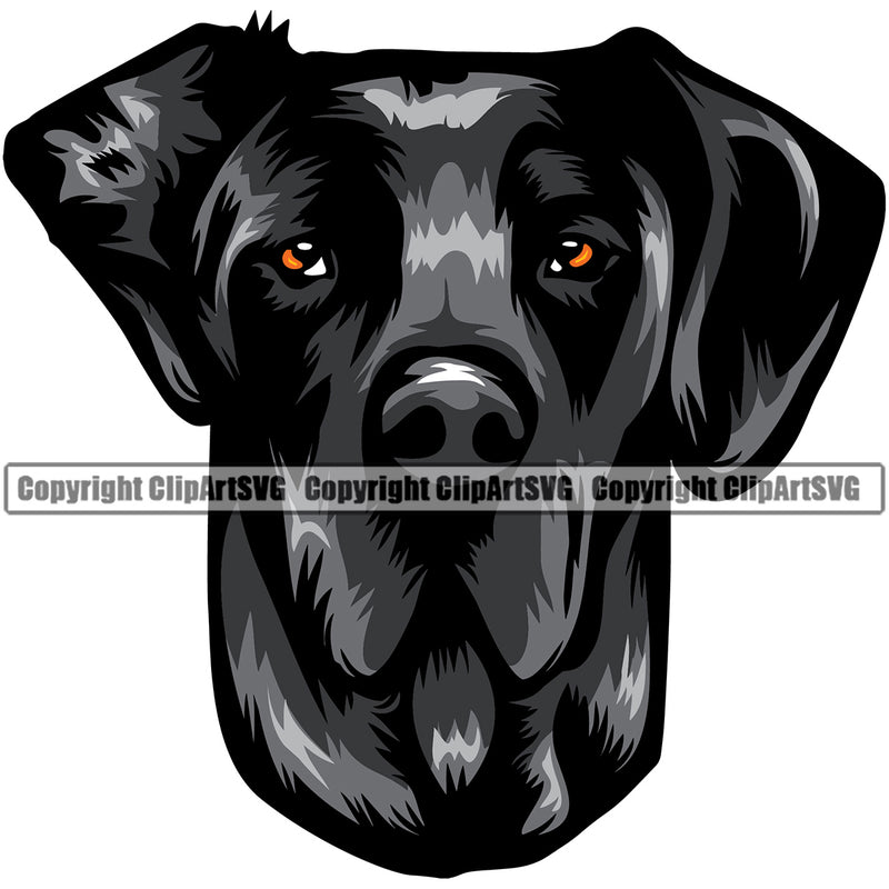 Great Dane Dog Black Color Head Design Animal Face Puppy  Purebred Pup Pedigree Vector Portrait Doggy Face Cute Clipart SVG