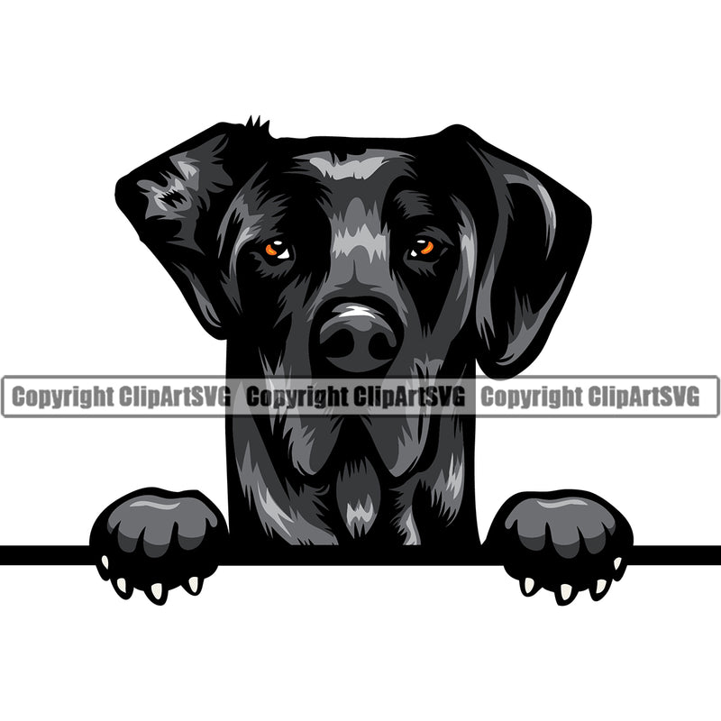 Great Dane Dog Peeking Face Black Color Puppy Head Design Purebred Pup Pedigree Vector Canine K-9 K9 Animal Portrait Clipart SVG