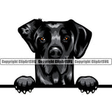 Great Dane Dog Peeking Face Black Color Puppy Head Design Purebred Pup Pedigree Vector Canine K-9 K9 Animal Portrait Clipart SVG