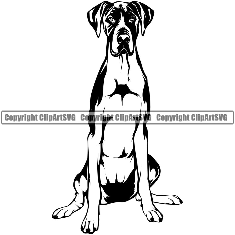 Great Dane Dog Sitting Black Color Body Design K9 Animal Portrait Doggy Face Cute Vector Purebred Pup Pedigree Clipart SVG