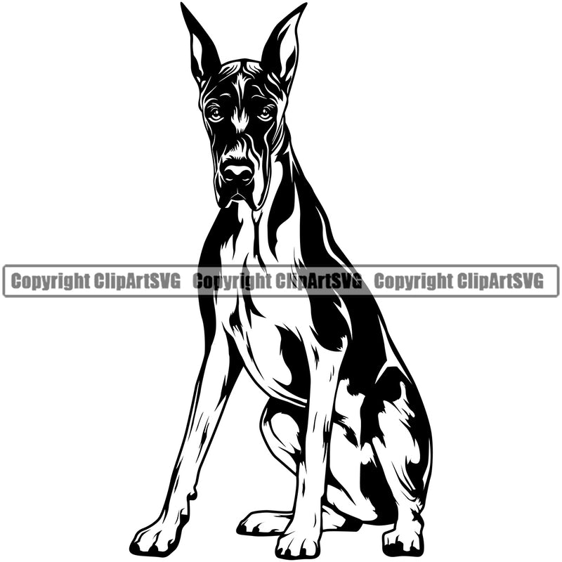 Great Dane Dog Sitting Design Canine K-9 K9 Animal Portrait Doggy Face Cute Vector Head Purebred Pup Pedigree Clipart SVG