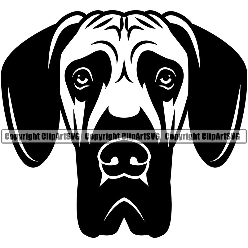 Great Dane Dog Black Color Head Design Animal Face Vector Purebred Pup Pedigree Clipart SVG
