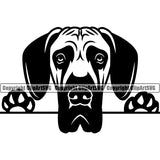Great Dane Dog Peeking Puppy Head Purebred Pup Pedigree Vector K9 Animal Portrait Doggy Face Cute Clipart SVG