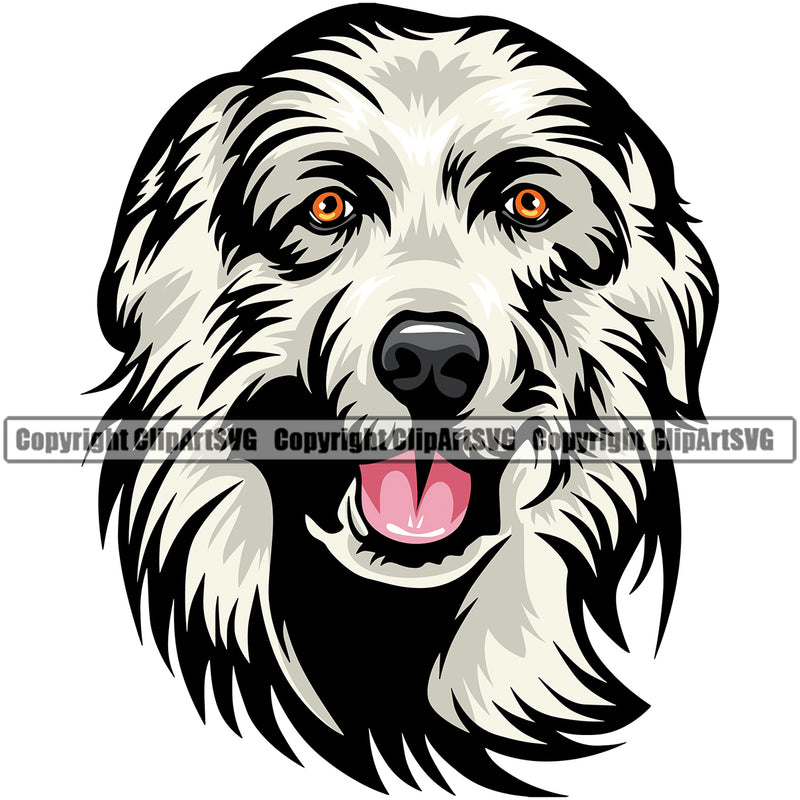 Great Pyrenees Dog Head Color Design K9 Animal Portrait Doggy Face Cute Vector Puppy Head Purebred Pup Pedigree Vector Clipart SVG