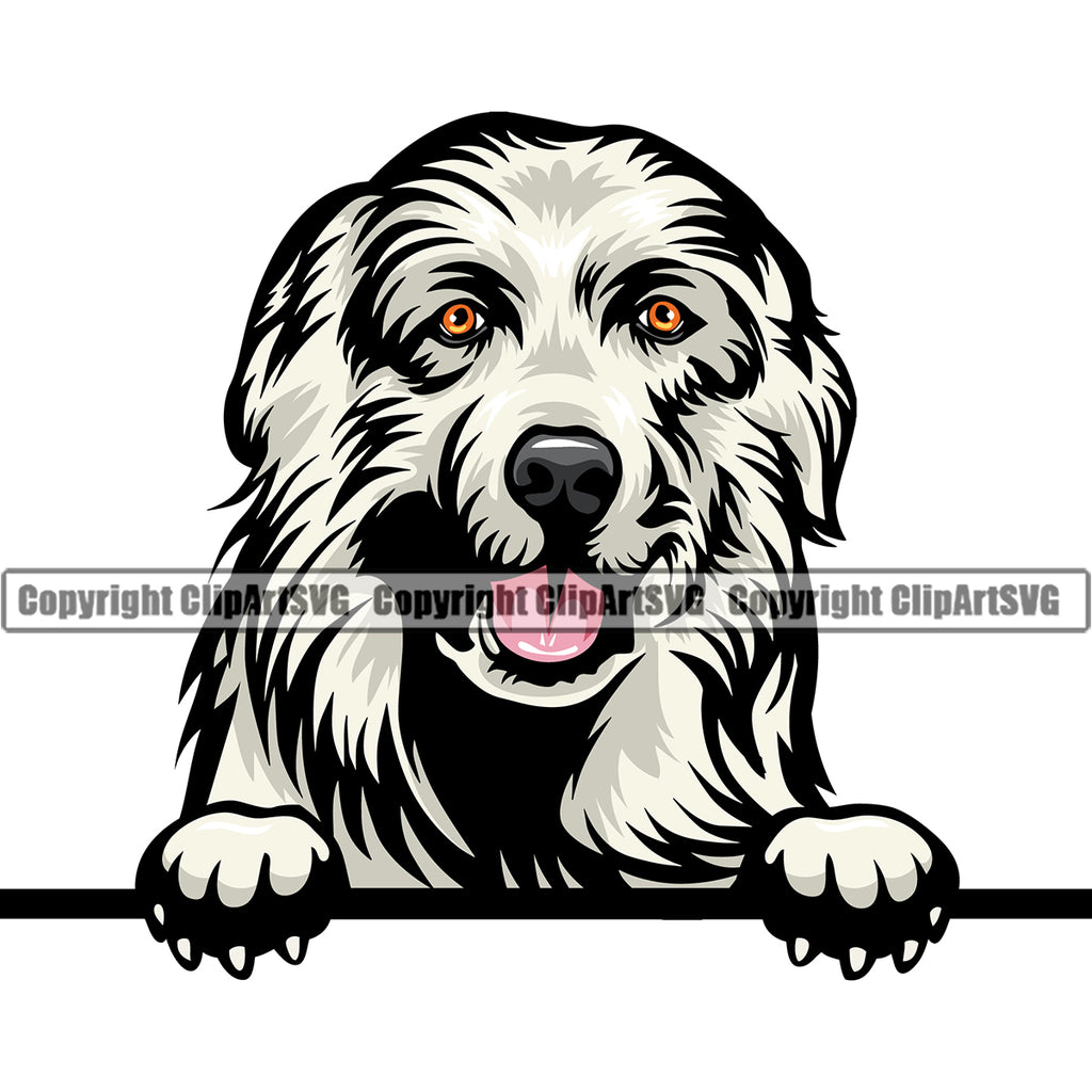 Great Pyrenees Dog Peeking Animal Face Color Design Puppy Head Purebred Pedigree Vector Clipart SVG