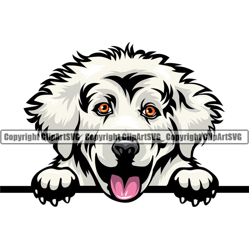 Great Pyrenees Dog Peeking Design Animal Cute Face Smiling Doggy Vector Purebred Pup Pedigree Canine K-9 K9 Clipart SVG