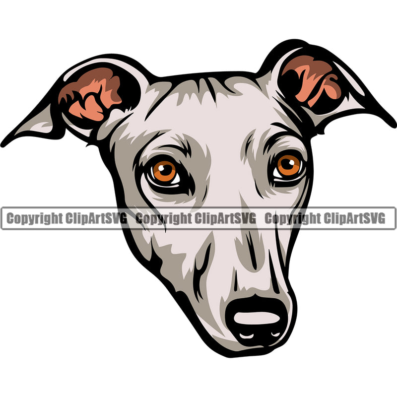 Greyhound Dog Color Head Animal Puppy Pup Head Purebred Pedigree Vector K9 Portrait Doggy Face Cute Clipart SVG
