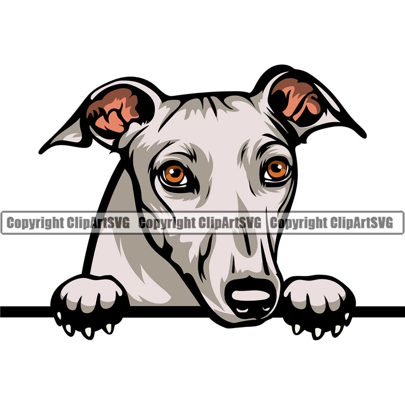 Greyhound Dog Peeking K9 Animal Portrait Doggy Face Cute Design Purebred Pedigree Vector Puppy Clipart SVG