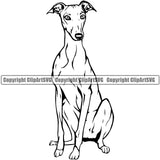 Greyhound Dog Sitting Design Puppy Pup Body Purebred Pedigree Vector K9 Animal Portrait Doggy Face Cute Clipart SVG