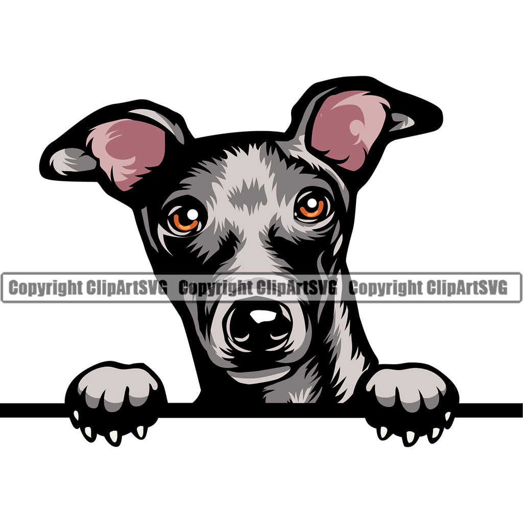 Greyhound Dog Puppy Pup Head Purebred Pedigree Vector K9 Animal Portrait Doggy Face Cute Clipart SVG