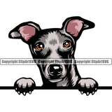 Greyhound Dog Puppy Pup Head Purebred Pedigree Vector K9 Animal Portrait Doggy Face Cute Clipart SVG