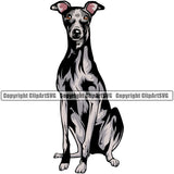 Greyhound Dog Sitting Design Color Body K9 Animal Portrait Doggy Face Cute Vector Puppy Pup Head Purebred Pedigree Clipart SVG