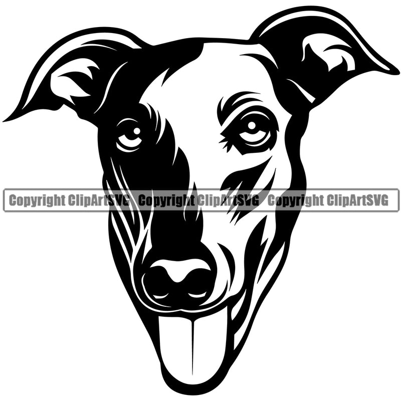 Greyhound Dog Head Design Black Color Head Canine K-9 K9 Animal Portrait Doggy Face Cute Vector Puppy Pup Head Purebred Pedigree Clipart SVG