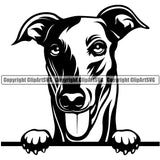 Greyhound Dog Peeking Design Pup Head Purebred Pedigree Vector Canine K-9 K9 Animal Portrait Doggy Face Cute Clipart SVG