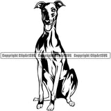 Greyhound Dog Sitting Puppy Pup Head Purebred Pedigree Vector Portrait Doggy Face Cute Animal K9 Clipart SVG