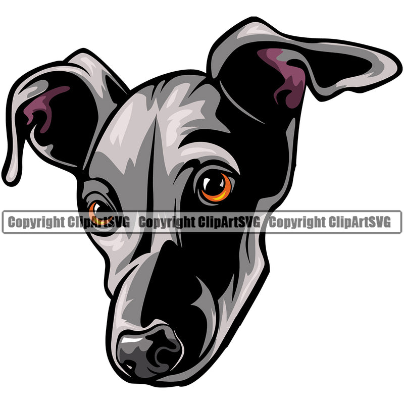 Greyhound Dog Black Head Color Design Puppy Pup Head Purebred Pedigree Vector Animal Portrait Doggy Face Cute Clipart SVG