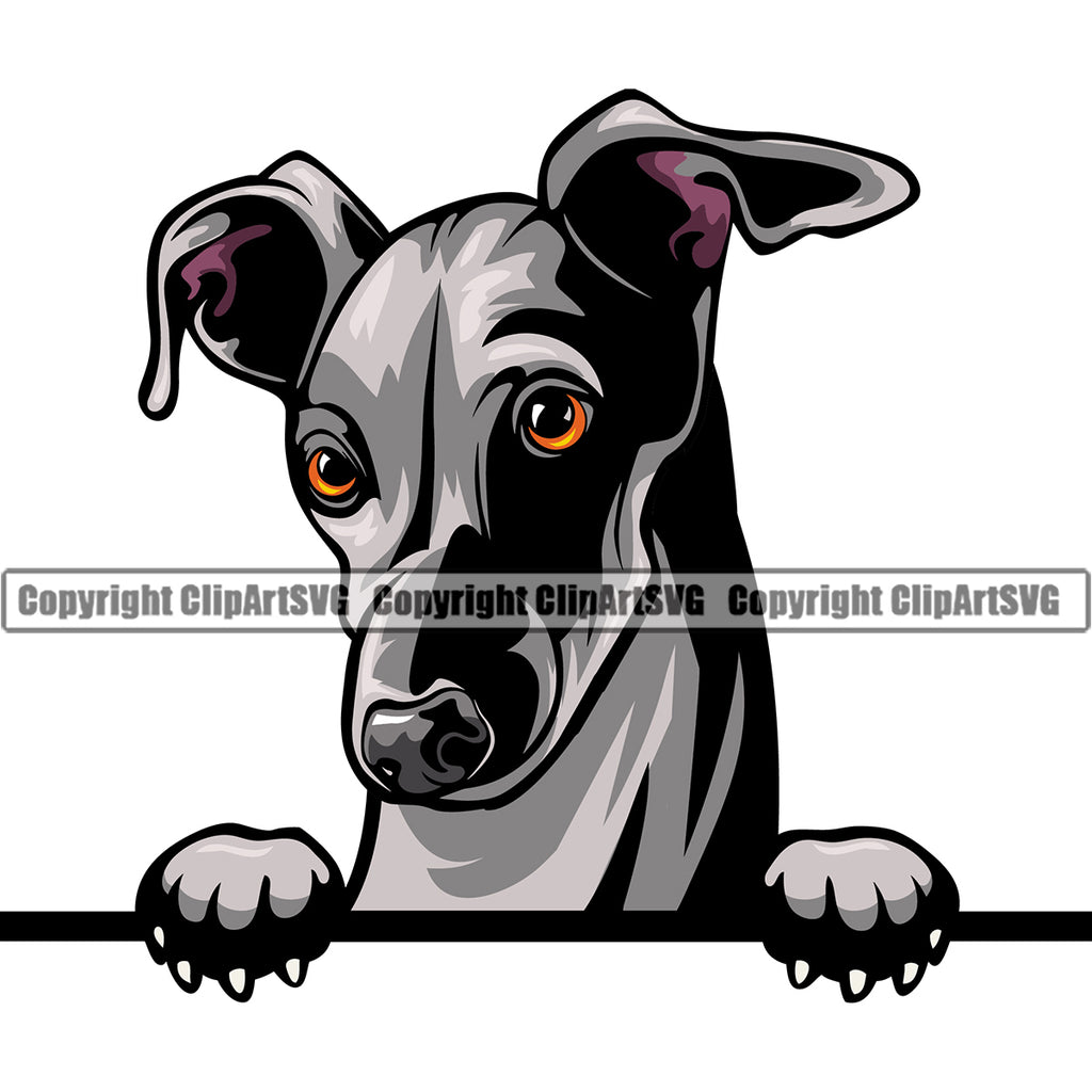 Greyhound Dog Peeking Design Puppy Pup Head Purebred Pedigree Vector Canine K-9 K9 Animal Portrait Doggy Face Clipart SVG