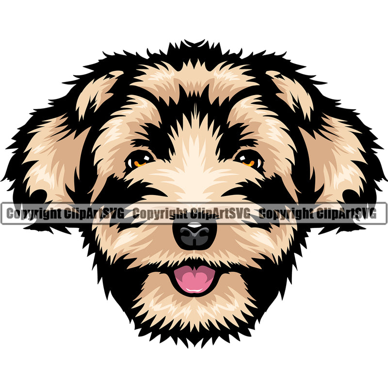 Havanese Dog Color Head Design Puppy Pup Head Purebred Pedigree Vector Canine K-9 K9 Animal Portrait Doggy Clipart SVG