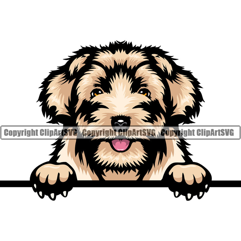 Havanese Dog Peeking Face Puppy Pup Head Purebred Pedigree Head Canine K-9 K9 Animal Portrait Doggy Clipart SVG