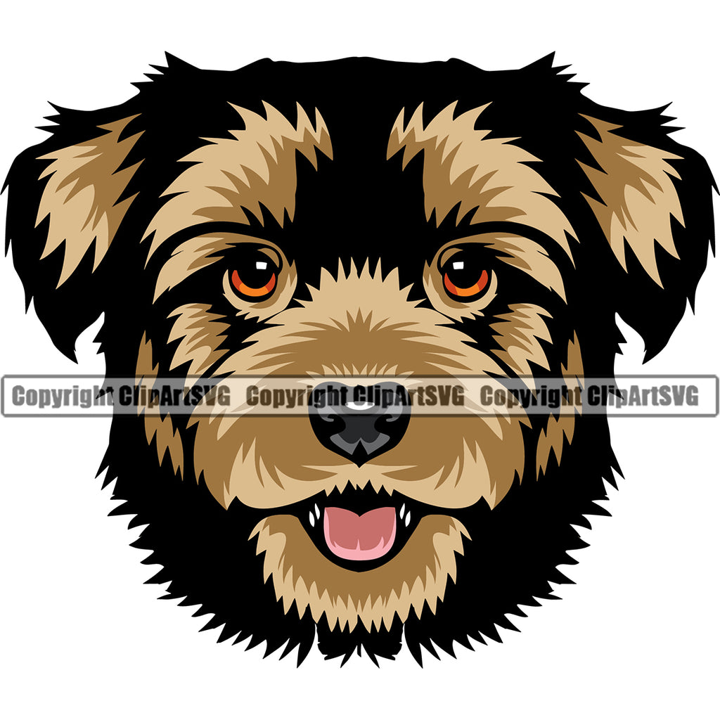 Havanese Dog Color Head Smiling Face Canine K-9 K9 Animal Portrait Doggy Vector Puppy Pup Head Purebred Pedigree Clipart SVG