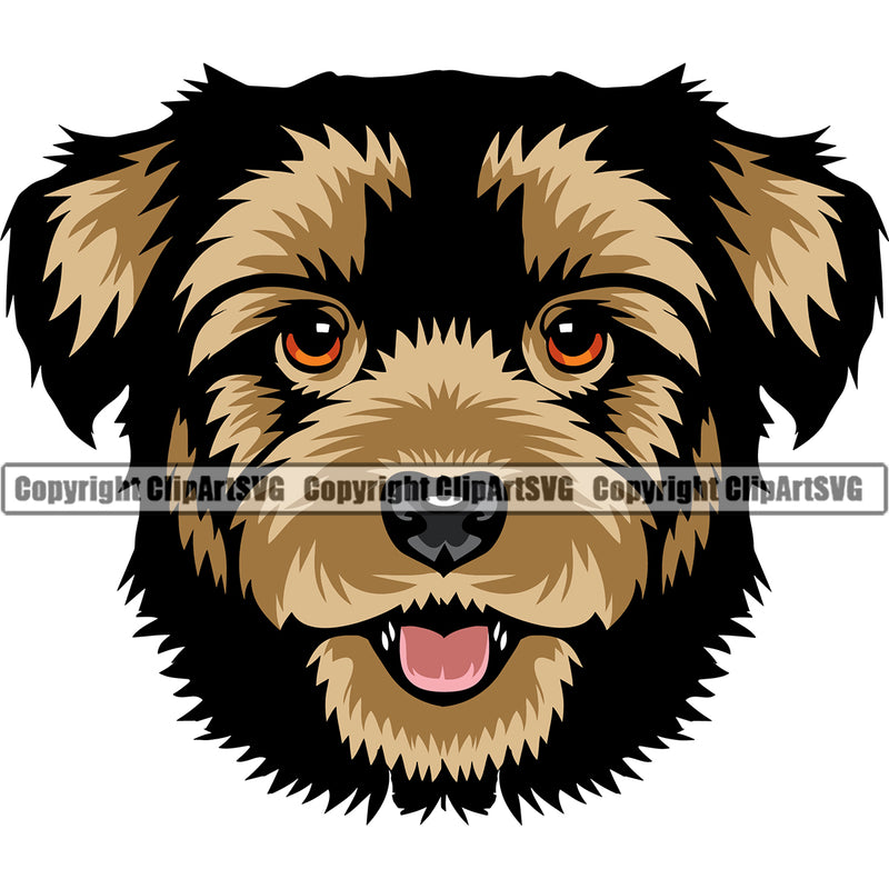 Havanese Dog Color Head Smiling Face Canine K-9 K9 Animal Portrait Doggy Vector Puppy Pup Head Purebred Pedigree Clipart SVG