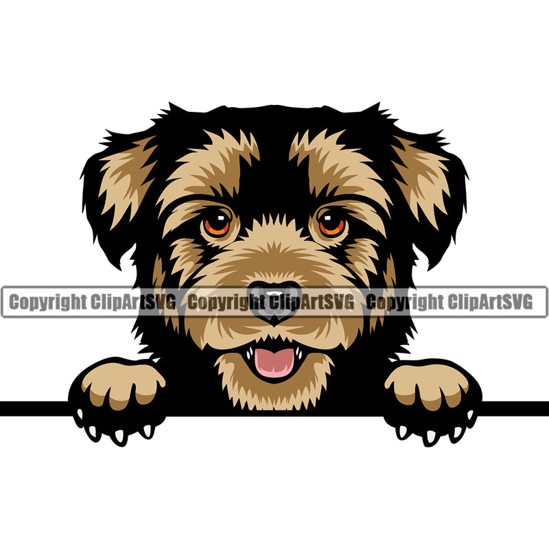Havanese Dog Peeking Doggy Cute Animal Face Puppy Pup Head Purebred Pedigree Vector K9 Animal Portrait Doggy Face Cute Clipart SVG