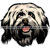Havanese Dog Smiling Face Color Head Design Puppy Pup Head Purebred Pedigree Vector K9 Animal Portrait Doggy Face Cute Canine Clipart SVG