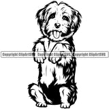 Havanese Dog Begging Puppy Pup Head Purebred Pedigree Vector Canine K-9 K9 Animal Portrait Doggy Face Cute Clipart SVG