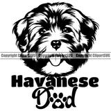 Havanese Dog Dad Head Design K-9 K9 Animal Portrait Doggy Face Cute Vector Puppy Pup Head Purebred Pedigree Clipart SVG