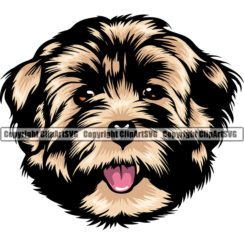 Havanese Dog Head Design Head Color Vector Puppy Pup Head Purebred Pedigree Canine K-9 K9 Animal Portrait Doggy Clipart SVG