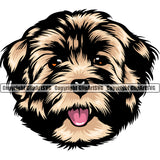 Havanese Dog Head Design Head Color Vector Puppy Pup Head Purebred Pedigree Canine K-9 K9 Animal Portrait Doggy Clipart SVG