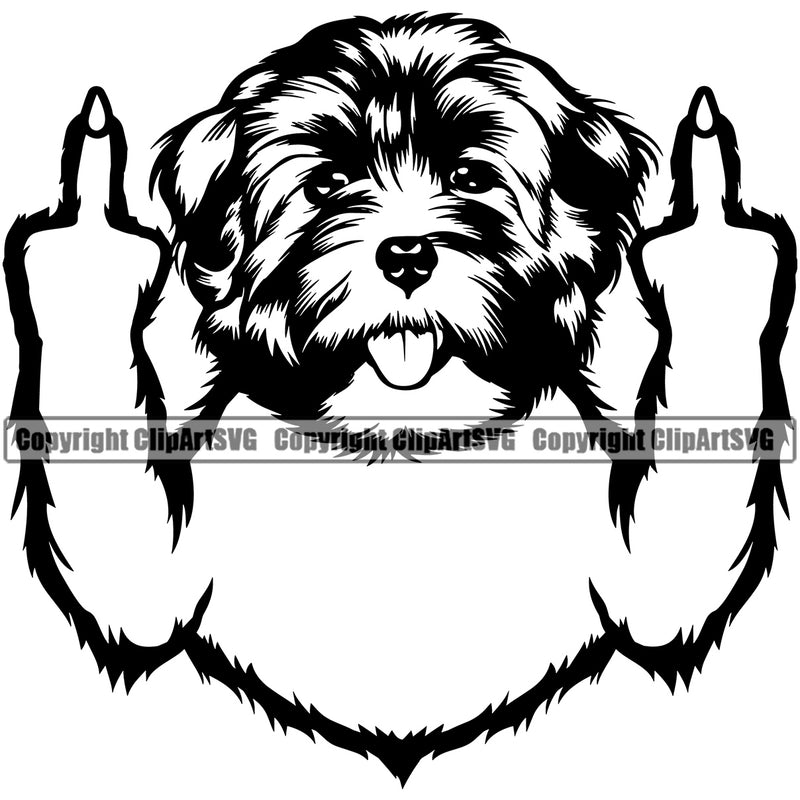 Havanese Dog Middle Finger Sign Vector Puppy Pup Head Purebred Pedigree Design Canine K-9 K9 Animal Portrait Doggy Face Cute Clipart SVG