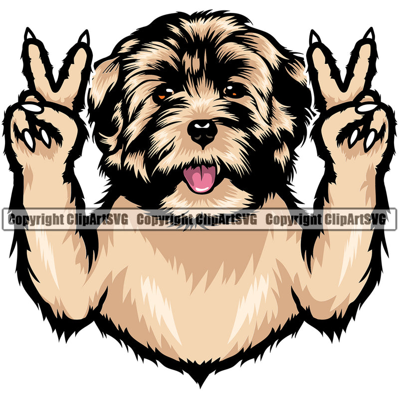 Havanese Dog Peace Hand Sign Animal Puppy Pup Head Purebred Pedigree Vector Canine K-9 K9 Animal Portrait Doggy Face Cute Clipart SVG