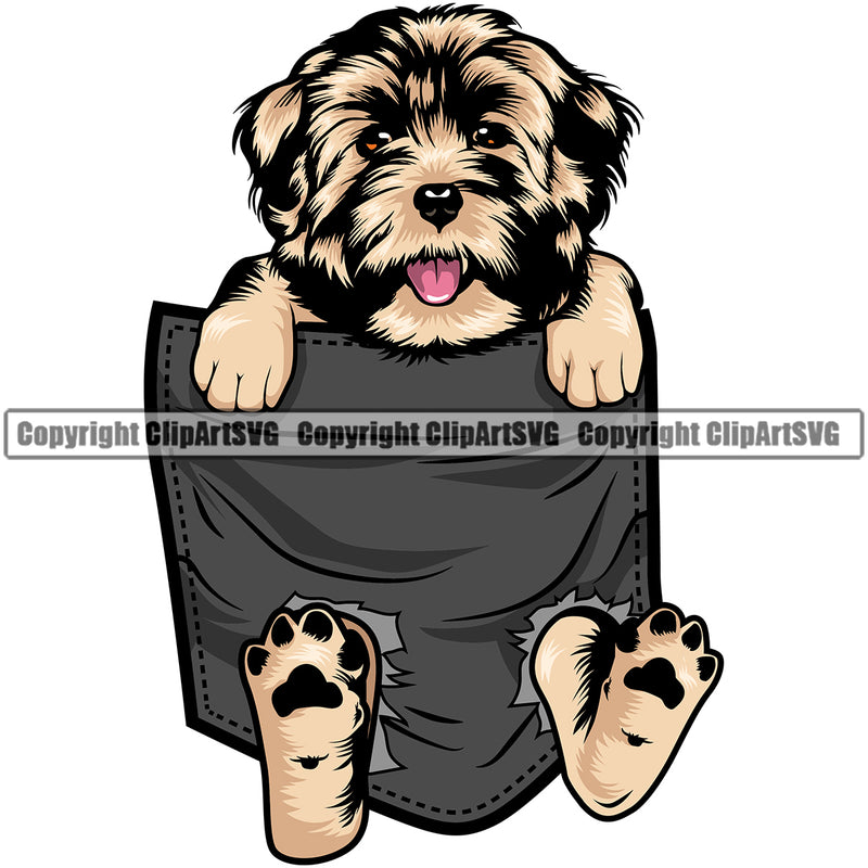 Havanese Dog Hanging From Shirt Pocket Design T-Shirt Animal Tshirt Vector Canine K9 Animal Portrait Doggy Puppy Pup Head Purebred Pedigree Clipart SVG