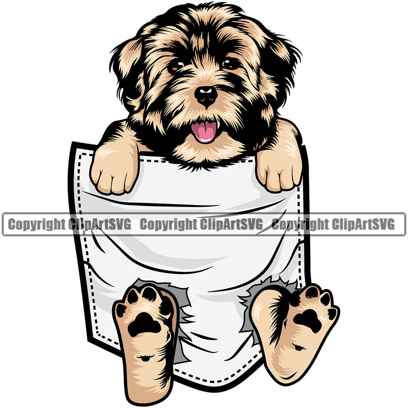 Havanese Dog Hanging From Shirt Pocket T-Shirt Tshirt Puppy Pup Head Purebred Pedigree Vector Canine K-9 K9 Animal Portrait Doggy Clipart SVG