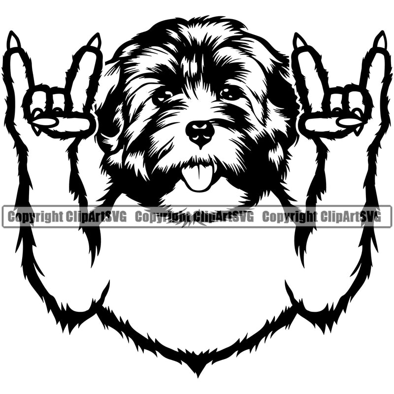 Havanese Dog Rock And Roll Hand Sign Design Canine K-9 K9 Animal Portrait Doggy Vector Puppy Pup Head Purebred Pedigree Clipart SVG