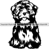Havanese Dog Sitting Design Canine K9 Cute Animal Portrait Doggy Face Puppy Pup Head Purebred Pedigree Vector Clipart SVG