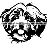 Havanese Dog Puppy Pup Purebred Pedigree Cute Doggy Head Design Vector Canine K-9 K9 Animal Portrait Doggy Face Cute Clipart SVG