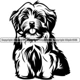 Havanese Dog Sitting Design Canine K-9 K9 Animal Portrait Doggy Face Cute Vector Purebred Pedigree Body Clipart SVG