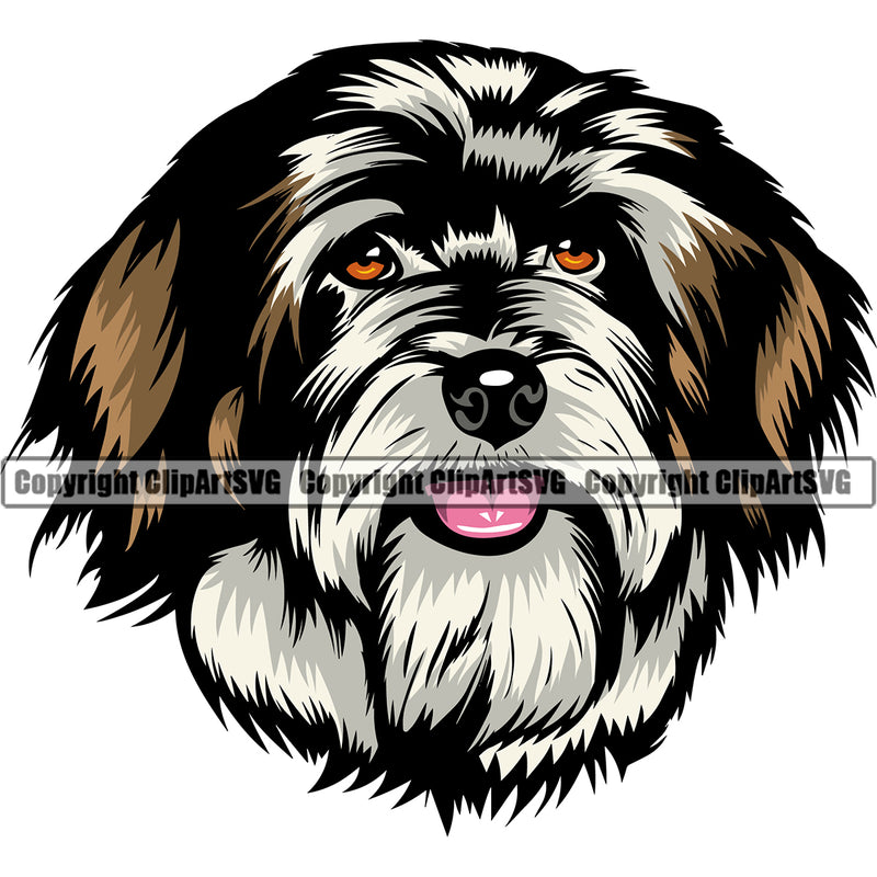 Havanese Dog Head Color Canine K9 Animal Portrait Doggy Face Cute Vector Purebred Pedigree Clipart SVG