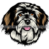 Havanese Dog Head Color Canine K9 Animal Portrait Doggy Face Cute Vector Purebred Pedigree Clipart SVG