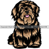 Havanese Dog Sitting Design Color Body Canine K-9 K9 Animal Portrait Doggy Cute Face Vector Purebred Pedigree Clipart SVG
