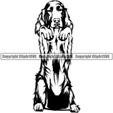 Havanese Dog Begging Canine K-9 K9 Animal Portrait Doggy Face Cute Design Puppy Purebred Pedigree Clipart SVG