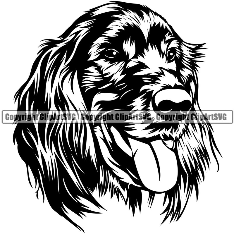 Irish Setter Dog Head Design Canine K-9 K9 Animal Portrait Doggy Face Vector Head Purebred Pedigree Clipart SVG