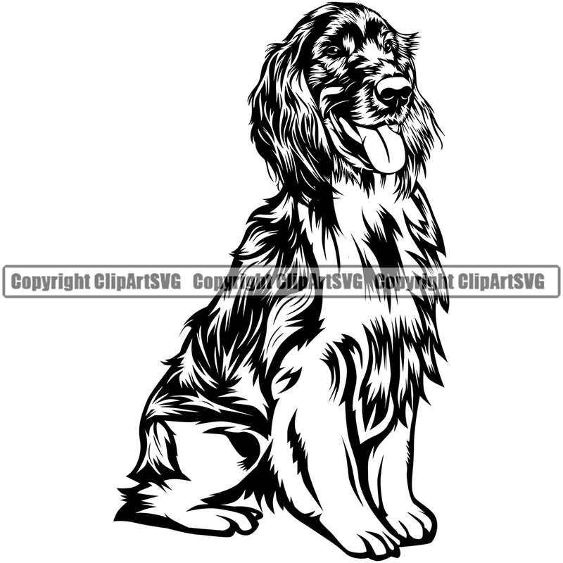 Irish Setter Dog Sitting Design Canine K-9 K9 Animal Portrait Doggy Face Cute Vector Puppy Pup Head Purebred Pedigree Clipart SVG