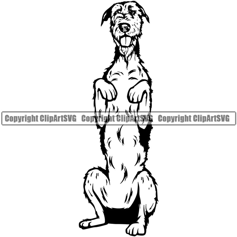 Irish Wolfhound Dog Begging Design Canine K-9 K9 Animal Portrait Doggy Face Vector Head Purebred Pedigree Clipart SVG